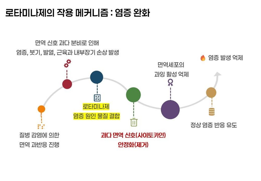 로타미나제 작용 메커니즘 2