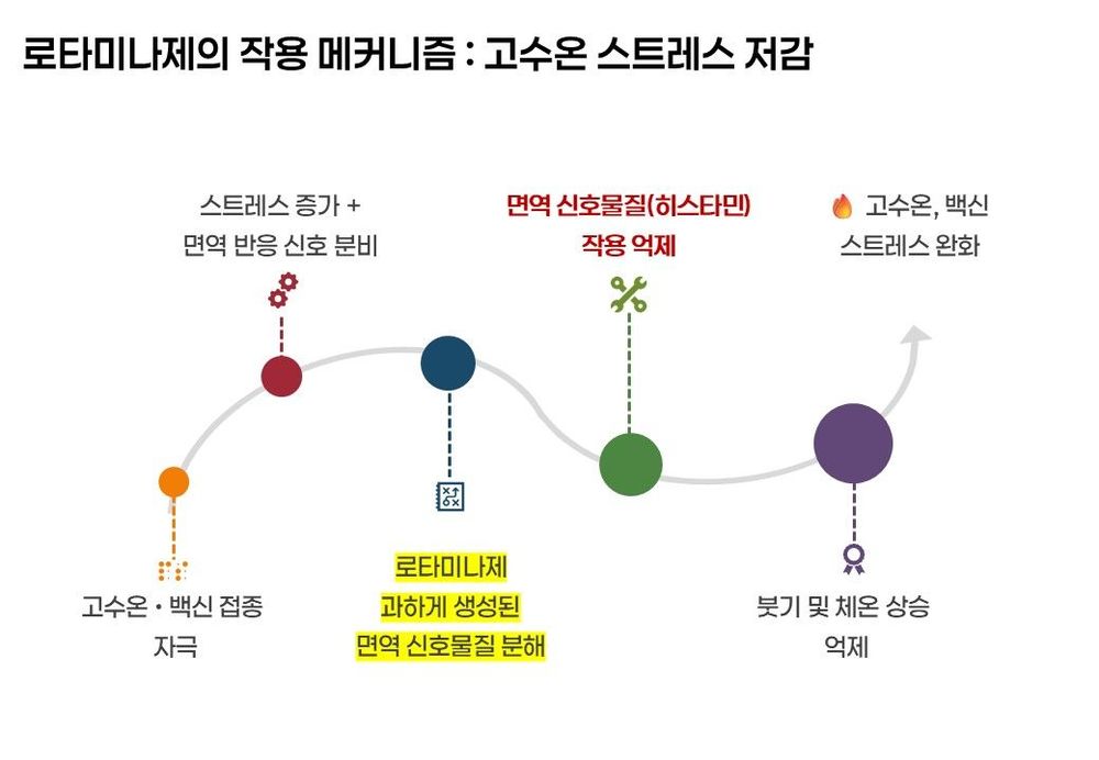 로타미나제 작용 메커니즘 3