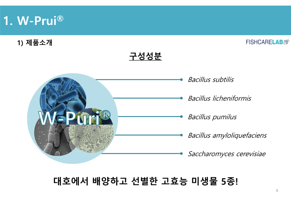 생균활용 천연 수질개선제 W-Puri 5