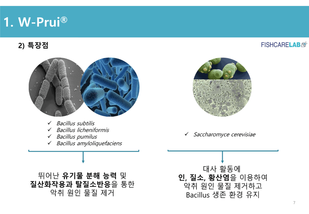 생균활용 천연 수질개선제 W-Puri 6