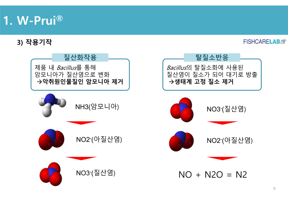 생균활용 천연 수질개선제 W-Puri 8
