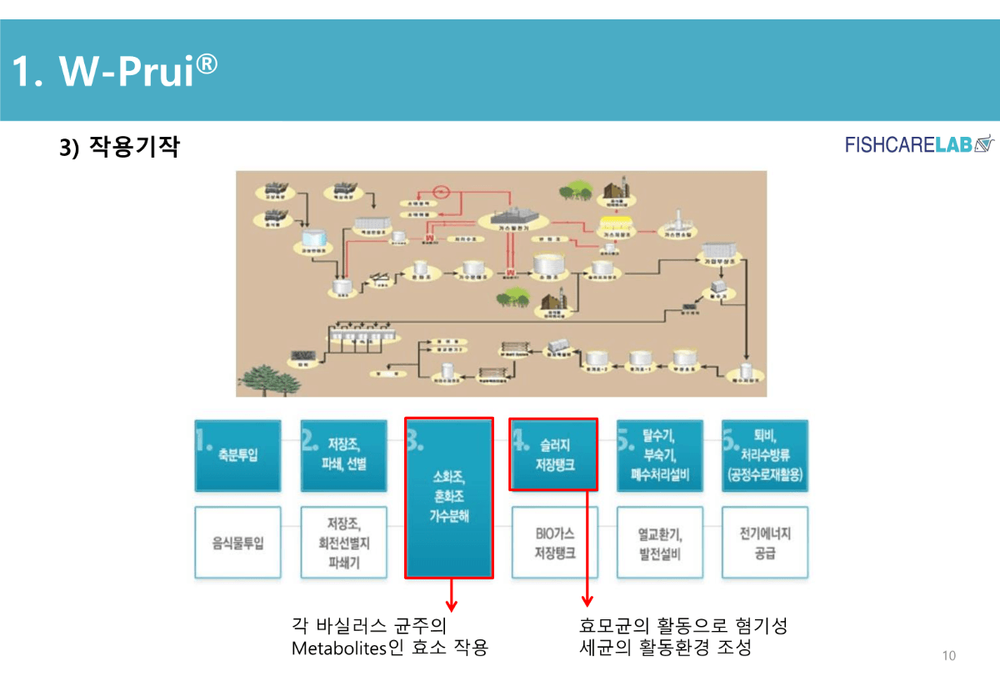 생균활용 천연 수질개선제 W-Puri 9