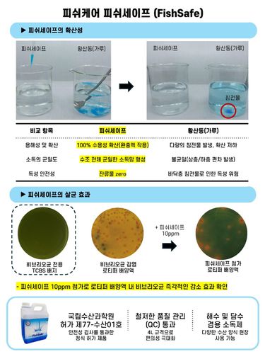 피쉬세이프 효과