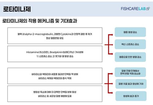 로타미나제 작용 메커니즘